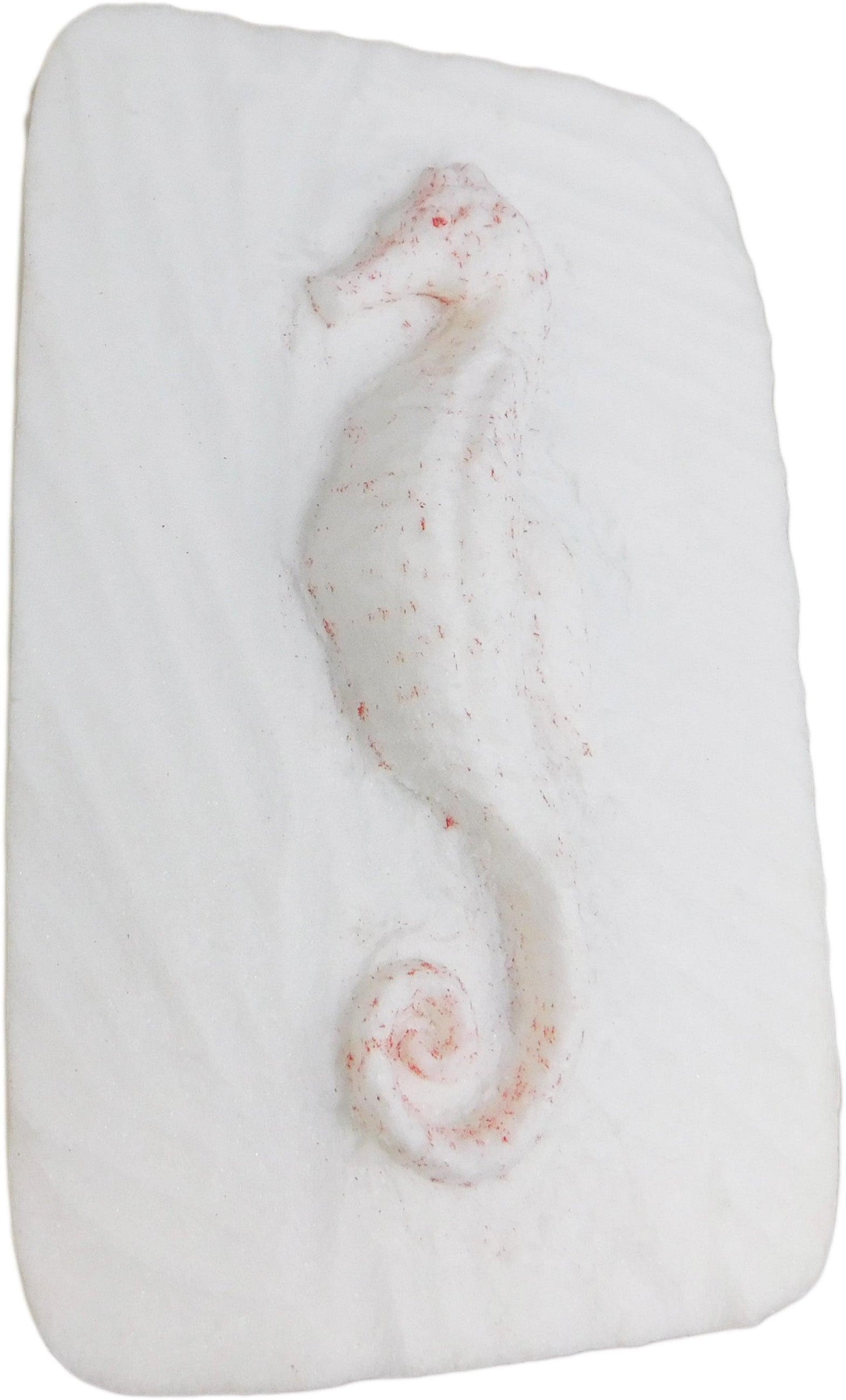 Schnitzen nach Farben - Relief Seepferdchen (ohne Werkzeug)