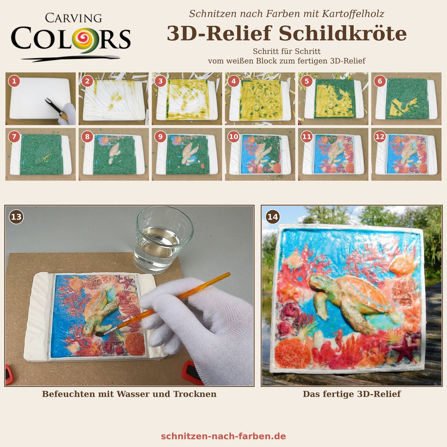 Schnitzen nach Farben - Komplettset Relief Schildkröte - NEU: farbiges End-Motiv